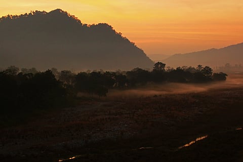 Blog The Smart Way of Experiencing India--s Wilds