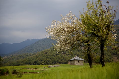 Bir. Photo Credits iStockphoto.com