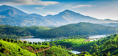 Tea plantations and the Muthirappuzhayar River form an enchanting landscape in Munnar