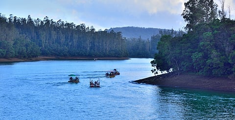 Special teams will be allotted on border checkposts to keep a check