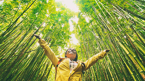 Forest exploration is rewarding for all age-groups, with learnings that go beyond books