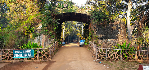 Simlipal is home to a vast number of animal, bird and plant species