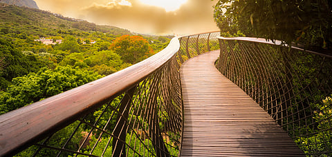 Mumbai Gets its first tree top walkway