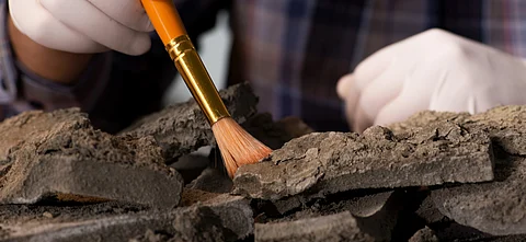 An earlier excavation conducted by ASI unearthed 85 human skeletons
