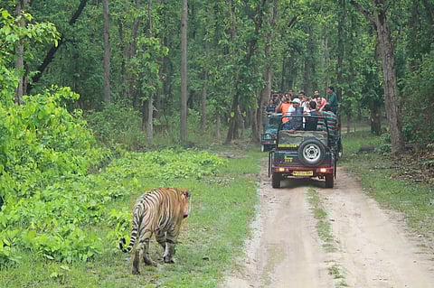 Kanha and a few other national parks of Madhya Pradesh to open from June 15