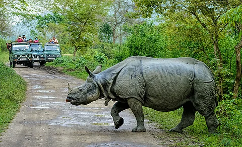 National Parks In Assam