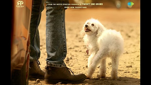 'സാഹസം' ടീസർ റിലീസ് പോസ്റ്റർ