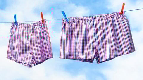 এবার অক্সফোর্ড ইংরেজি অভিধানে অন্তর্ভুক্ত নতুন শব্দ - 'চাড্ডি'