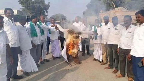 বিজেপি সাংসদের কুশপুতুল পোড়াচ্ছেন হলুদ চাষিরা