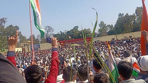 শুক্রবার উত্তরপ্রদেশের শামলিতে কৃষকদের মহাপঞ্চায়েত
