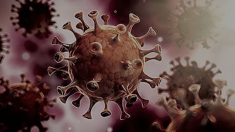 Covid-19: রাজ্যে দৈনিক করোনা সংক্রমণ ১৩ হাজার ছুঁই ছুঁই