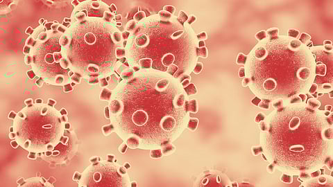 Covid-19: ১৬ হাজারের পথে দৈনিক সংক্রমণ, সব জেলাতেই ঊর্ধ্বমুখী গ্রাফ