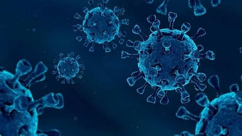 Covid-19: দৈনিক সংক্রমণ ও মৃত্যুতে শীর্ষে উত্তর ২৪ পরগণা