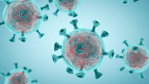 Covid-19: শেষ ২৪ ঘণ্টায় আরও বাড়লো দৈনিক সংক্রমণ, রেকর্ড দৈনিক মৃত্যুতেও