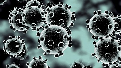 Covid-19: শেষ ২৪ ঘণ্টায় রাজ্যে কমলো সংক্রমণ, মৃত্যু