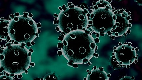 COVID-19: কেরল সহ উত্তর-পূর্বের রাজ্যগুলির অবস্থা উদ্বেগজনক, পরপর দু'দিন সক্রিয় কেস বাড়ল দেশে