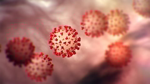 Covid-19: শেষ ২৪ ঘণ্টায় রাজ্যে মৃত শতাধিক, সংক্রমণ মুক্ত ১৪,৩৭৪