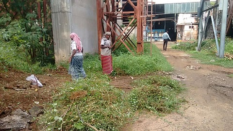 ন্যাশনাল কো অপারেটিভ সুগার মিল