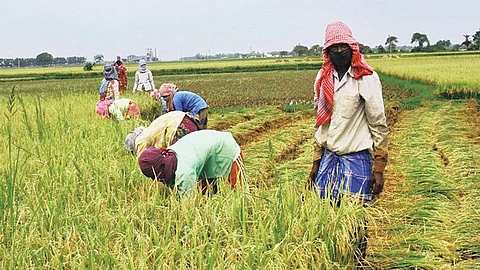 ছবি - প্রতীকী