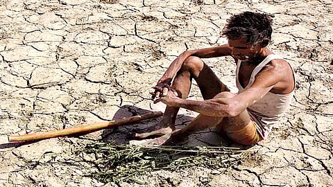 ছবি - প্রতীকী