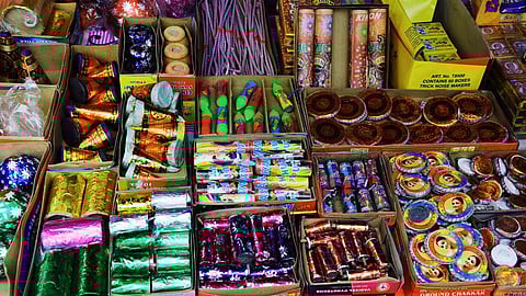 পরিবেশবান্ধব বাজি তৈরির প্রশিক্ষণই নেই, সরকারি নির্দেশে চরম দুর্দশায় রাজ্যের বাজি প্রস্তুতকারকরা