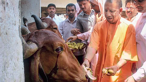 যোগী আদিত্যনাথ