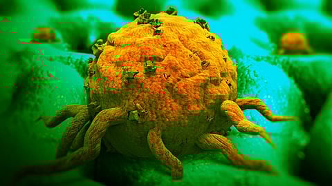 ছবি প্রতীকী