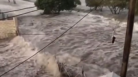 টোঙ্গায় সুনামি