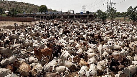 ছবি - প্রতীকী