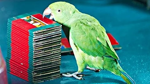 ছবি প্রতীকী