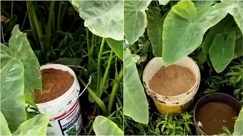 বীরভূমে উদ্ধার হওয়া বোমা