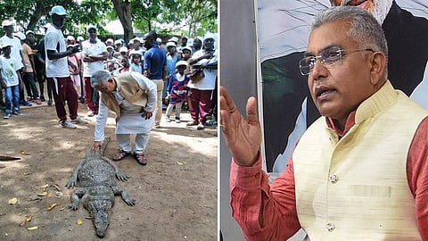 আবার আফ্রিকা সফরে দিলীপ ঘোষ, কিছুদিন রাজ্য রাজনীতি থেকে দূরে পাঠানোর সিদ্ধান্ত বিজেপির!