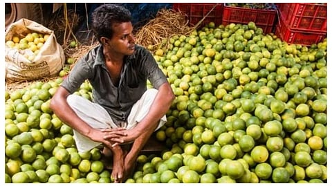 ছবি প্রতীকী