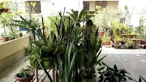 ছবি প্রতীকী