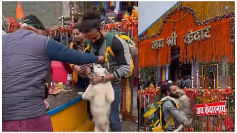 পোষ্য নিয়ে কেদারনাথে