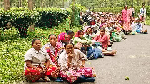 আন্দোলনে চা শ্রমিকরা