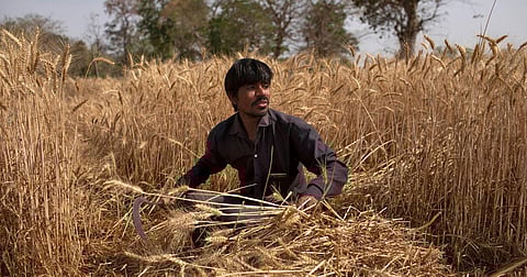 প্রতীকী ছবি