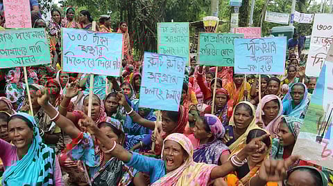 মজুরি বাড়ানোর দাবিতে আন্দোলন চা শ্রমিকদের