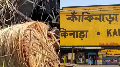 কাঁকিনাড়ায় বোমা বিস্ফোরণ