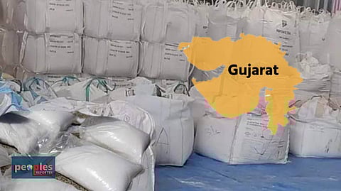Gujarat Assembly Polls 22: নির্বাচনের আগে গুজরাটে ৬১ কোটিরও বেশি মূল্যের মাদক দ্রব্য উদ্ধার