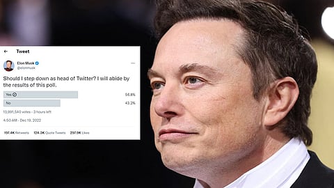 এলন মাস্ক