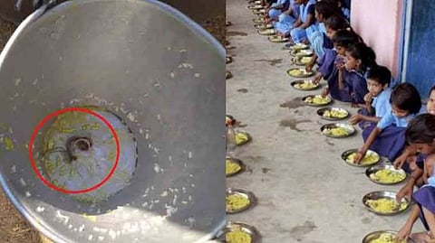 Birbhum: মিড ডে মিলের ডালে সাপ! অসুস্থ একাধিক পড়ুয়া, ক্ষোভে ফুঁসছেন অভিভাবকরা