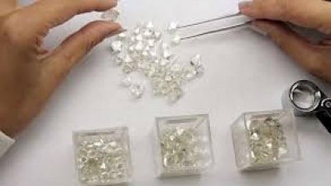 ছবি প্রতীকী