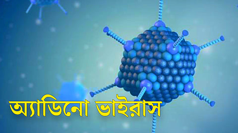 অ্যাডিনো ভাইরাস