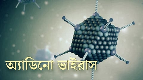 অ্যাডিনো ভাইরাস