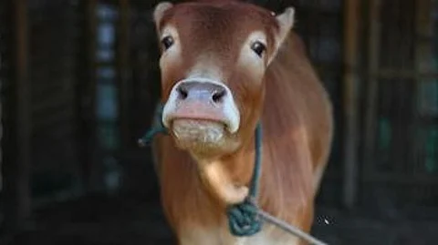 ছবি প্রতীকী