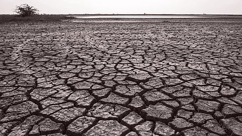 ছবি প্রতীকী