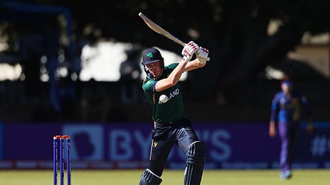 হ্যারি টেক্টর