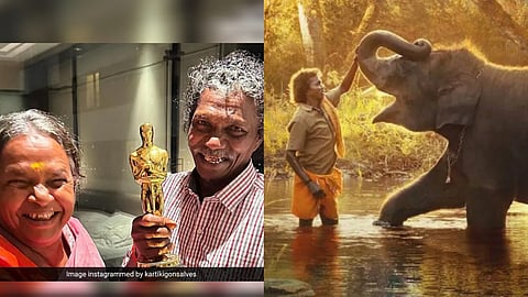 অস্কার হাতে মাহুত দম্পতি বোমান ও বেলি এবং সিনেমার দৃশ্য (ডানদিকে)