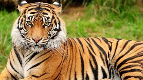 প্রতীকী ছবি